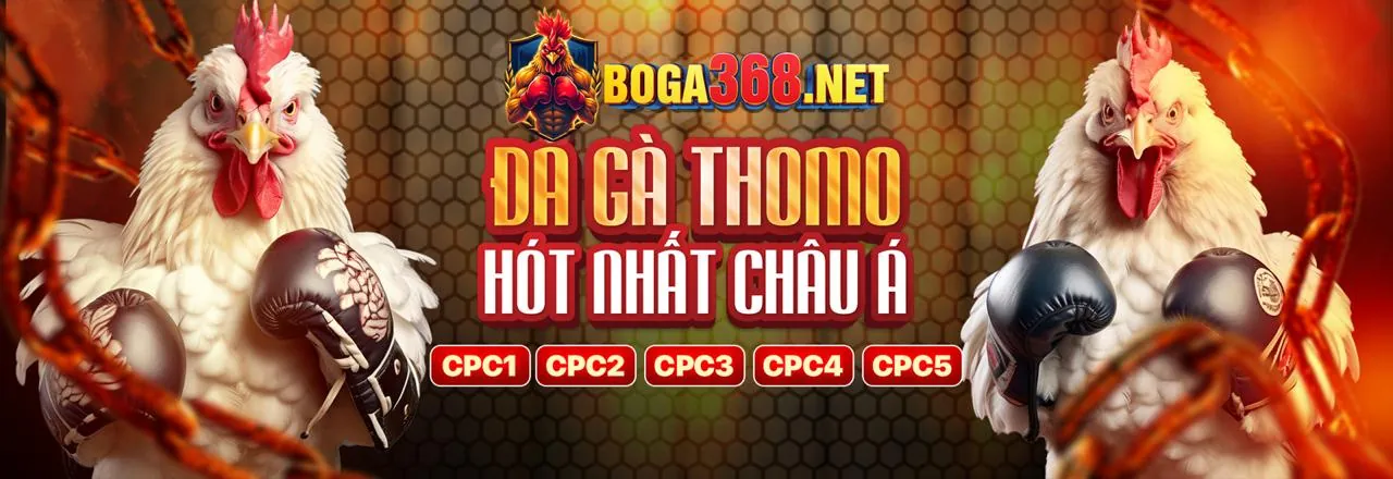 Đá gà trực tuyến kịch tính tại halo88